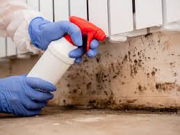 Best Industrial Mold Remediation  in Hanscom Af, MA